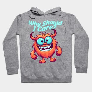 why should i care? Hoodie